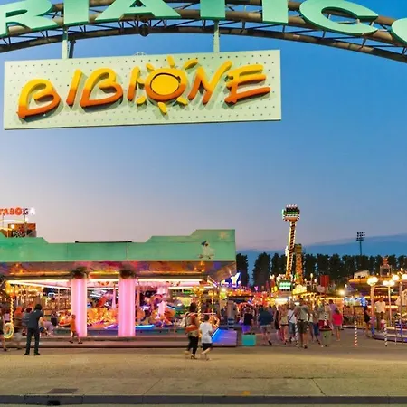 In 24546 비비오네